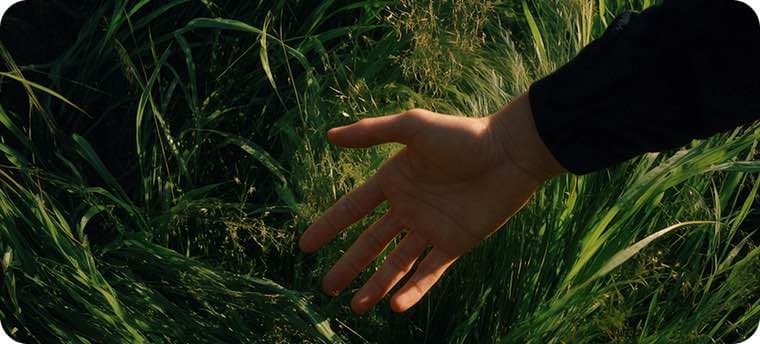 Lyori Farm essential oil product line overview