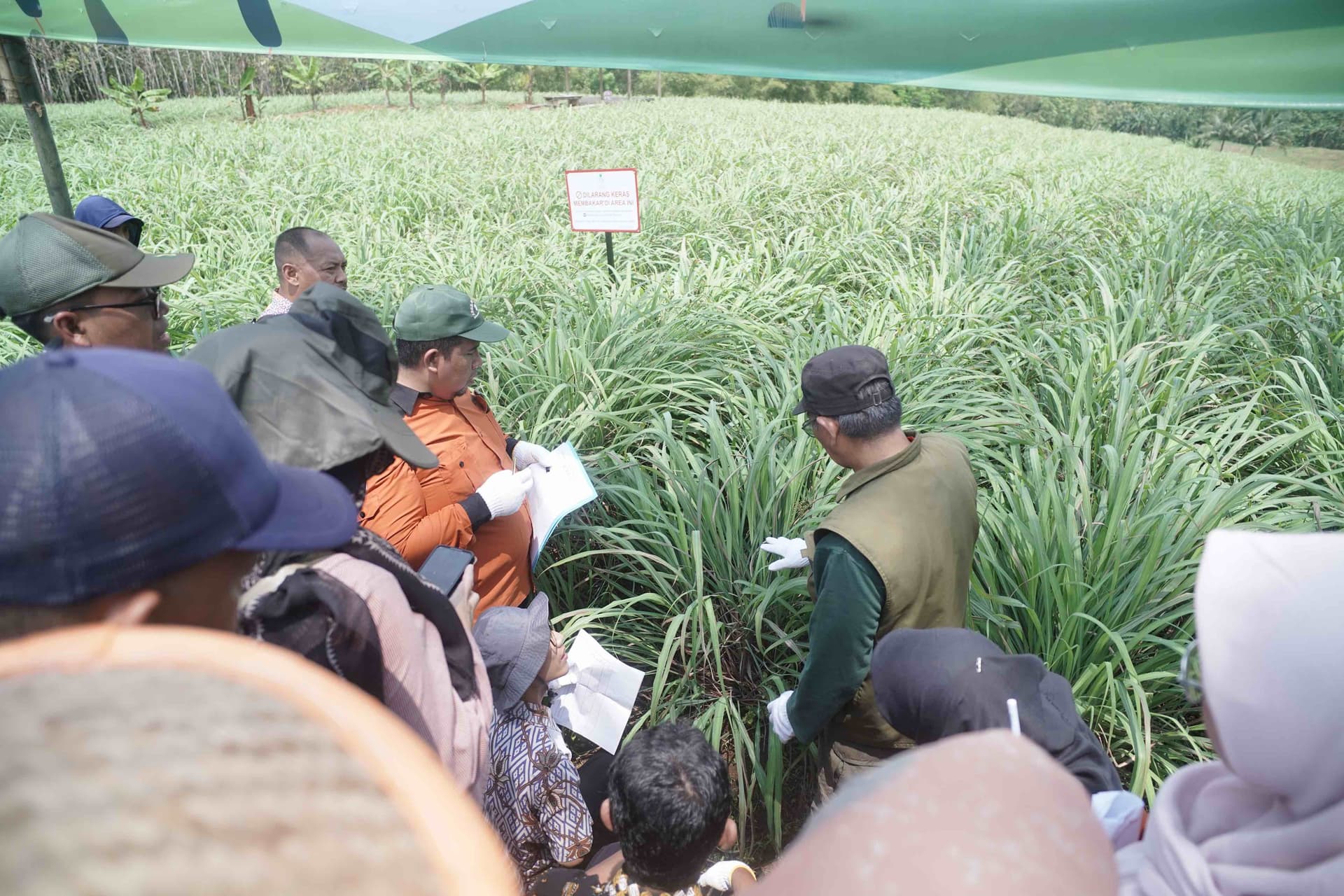 Agriculture & Aquaculture