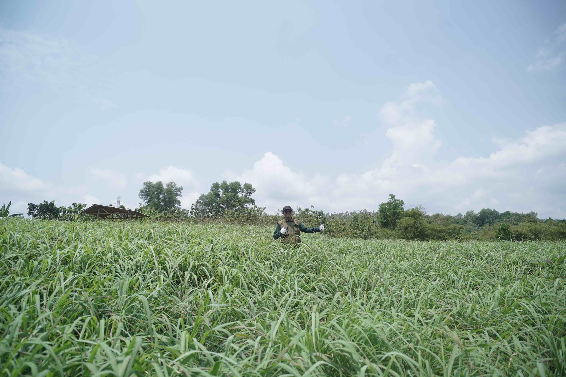 Lyori Farm laboratory