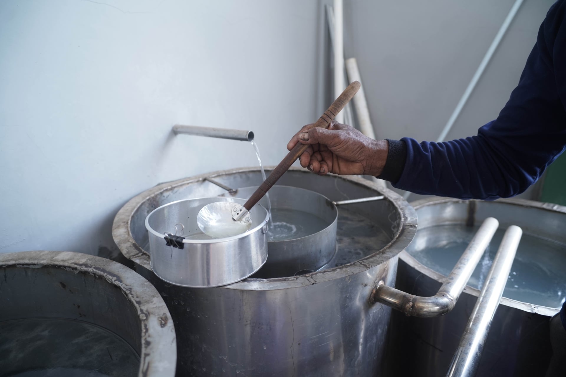 Citronella Planting Material