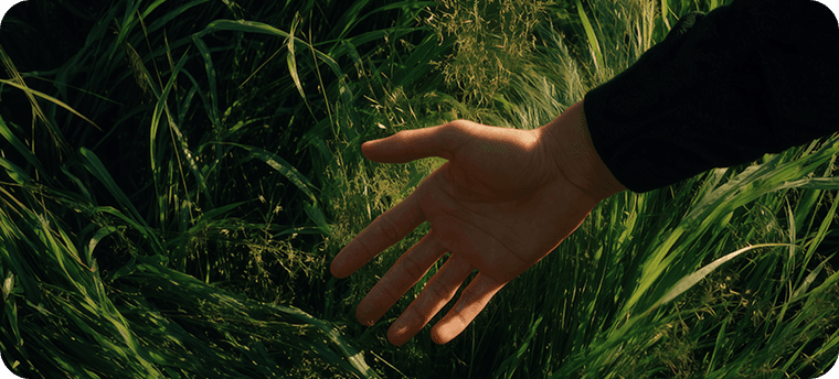 Lyori Farm latest news and industry updates